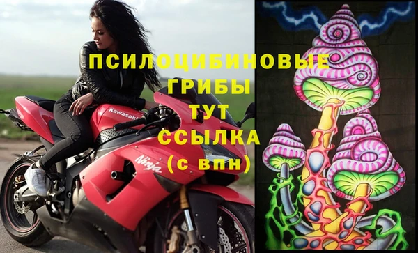ешки Абаза