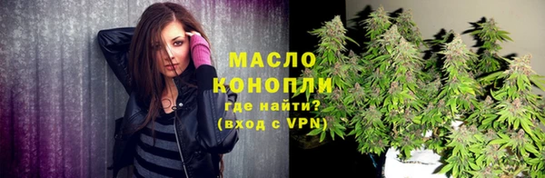 индика Заволжье