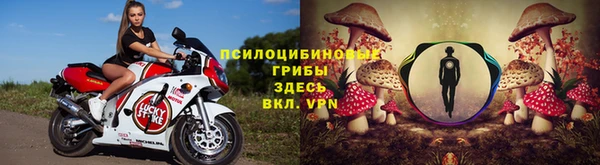 индика Заволжье