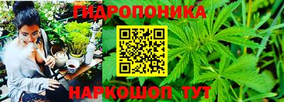 прущие грибы Обь