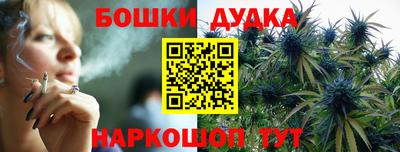 прущие грибы Обь