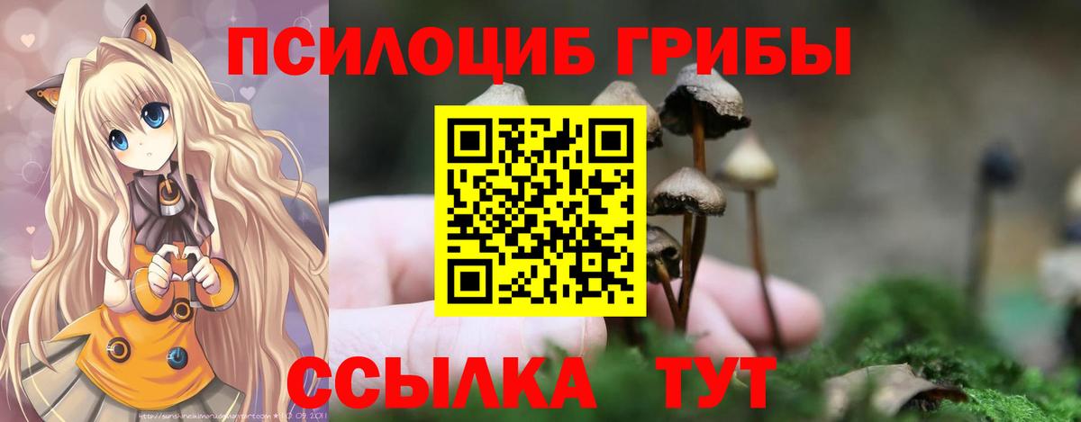 Нижнекамск  Галлюциногенные грибы Psilocybine cubensis  Вход с VPN  Галлюциногенные грибы GOLDEN TEACHER 